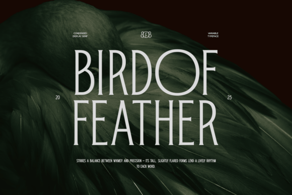 Bird of Feather Typeface for Clear Campaigns