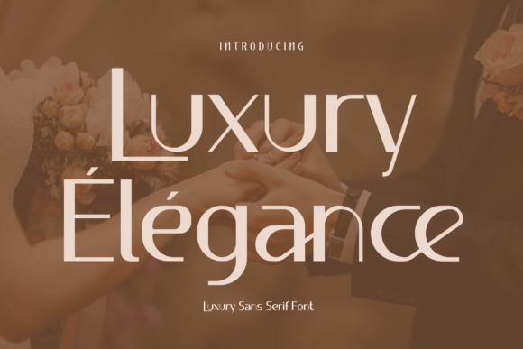Luxury Élégance: A Premium Sans Serif Font for Modern Web Design
